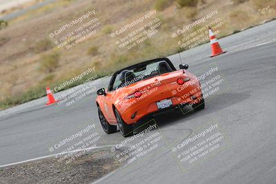 media/Nov-18-2023-Extreme Speed (Sat) [[10c227f63a]]/2-Green/Rear shots/